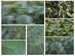 ICM Serie